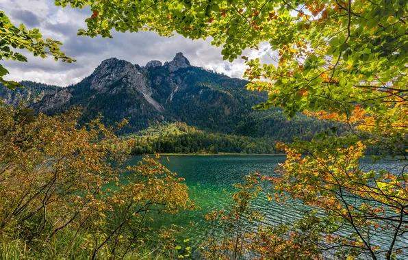 Картинка Природа, Горы, Озеро, Германия, Бавария, Alpsee