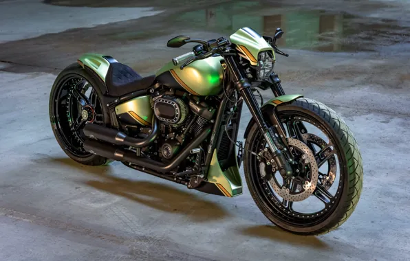 Картинка Harley Davidson, Tuning, Softail, Bikes, Customized, Thunderbike, FXDR, Golden Lime