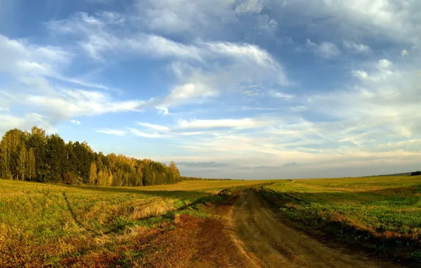 Дорога, поле, осень, пейзаж