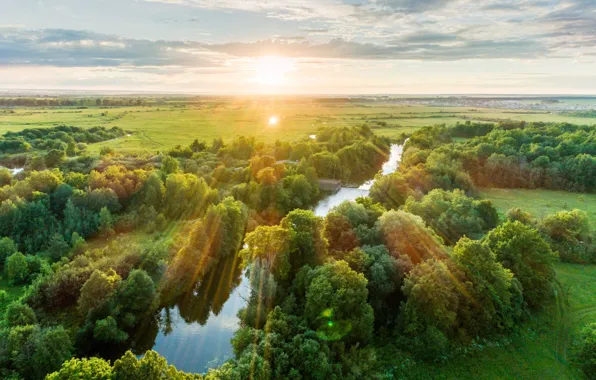 Зелень, лес, лето, солнце, лучи, свет, деревья, река