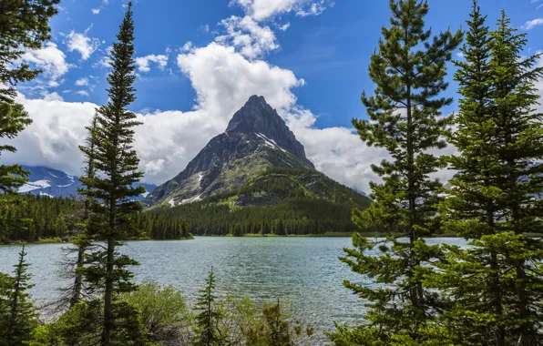 Картинка лес, деревья, горы, озеро, берег, США, Glacier National Park, Montana