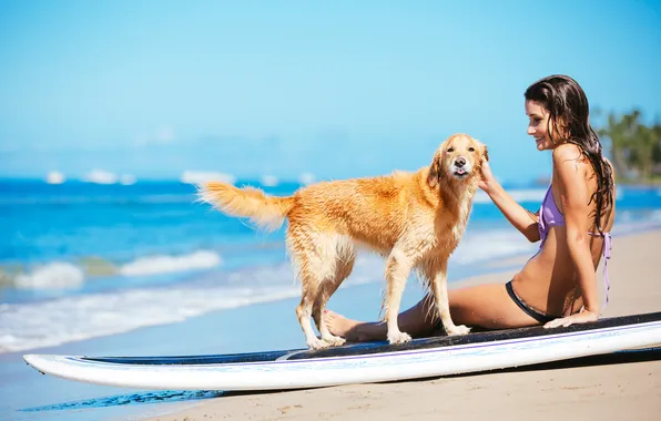 Sexy, dog, surf, pose, bikini