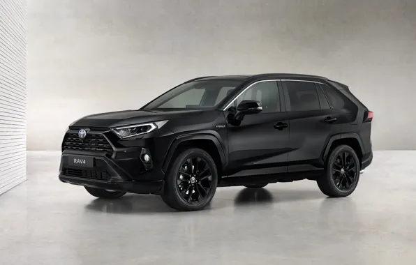 Toyota, Hybrid, Black Edition, RAV4