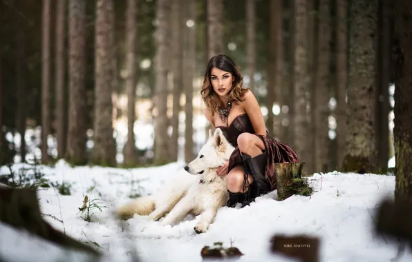 Картинка зима, лес, девушка, снег, волк, собака, платье