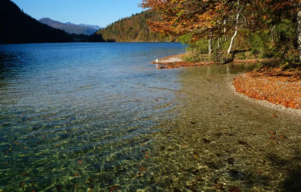 Картинка осень, лес, небо, солнце, деревья, горы, озеро, Германия