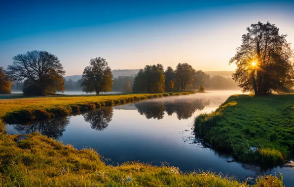 Картинка пейзаж, река, утро, Германия