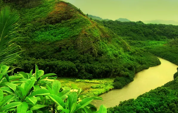 Картинка зелень, река, гора