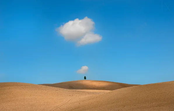 Картинка поле, облака, дерево, field, clouds, tree, Тоскана, Tuscany