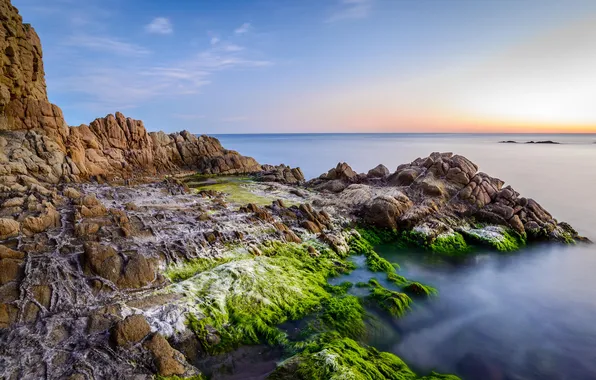 Картинка море, небо, водоросли, скалы