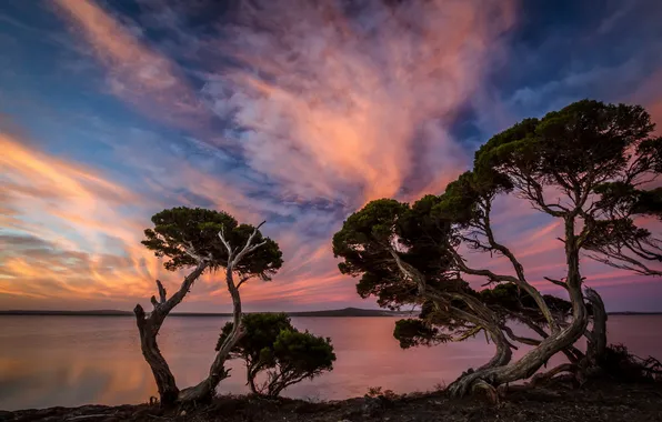Пейзаж, озеро, утро