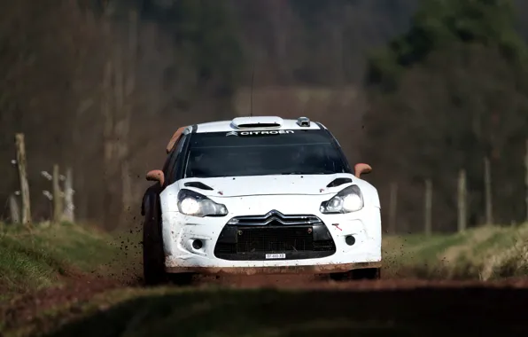 Белый, Citroen, Водитель, DS3, Rally, Передок