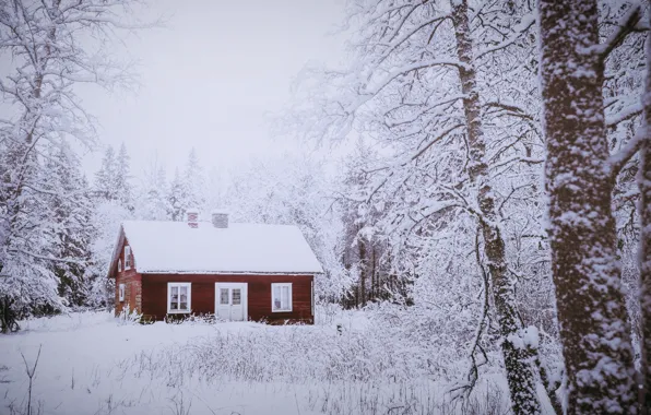 Картинка зима, лес, дом