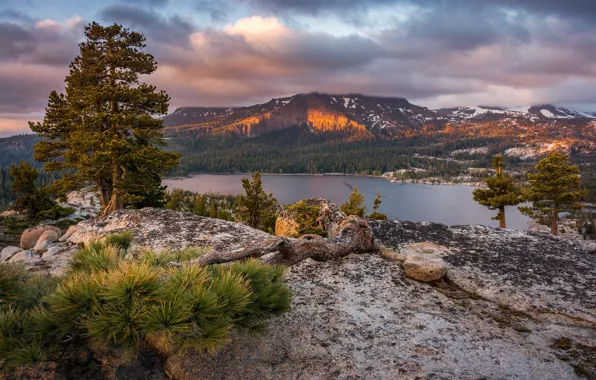 Картинка деревья, горы, озеро, Калифорния, сосны, California, Сьерра-Невада, Sierra Nevada