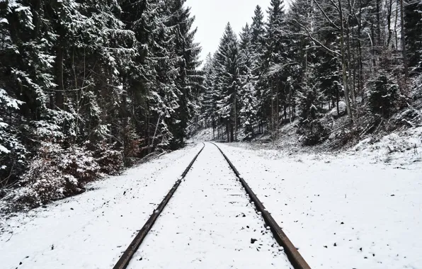 Картинка зима, лес, снег, железная дорога
