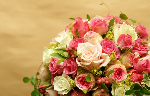 Капли, розы, букет, Roses, шикарный, Bouquets