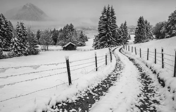 House, misty, road, winter, mountain, snow, fog, fence