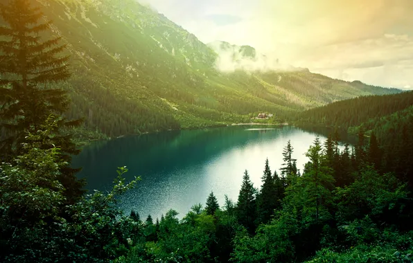 Картинка forest, landscape, nature, mountains, lake