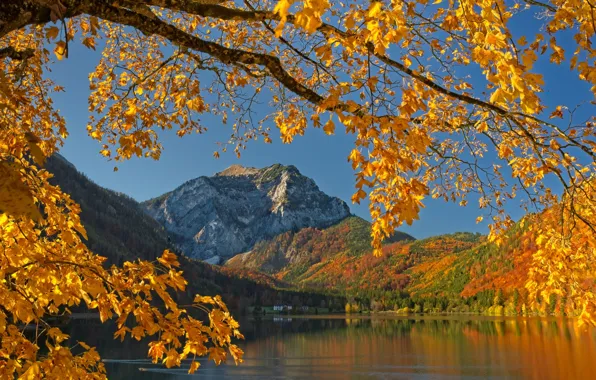 Картинка осень, листья, горы, ветки, озеро, дерево, Австрия, Austria