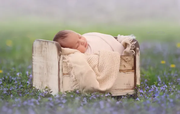 Картинка цветы, сон, младенец, боке, кроватка, спящий