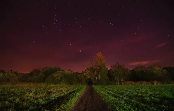 Картинка дорога, поле, ночь