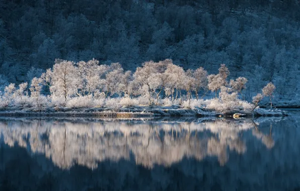 Иней, вода, деревья, отражение, Норвегия, Norway, Troms, Тромс