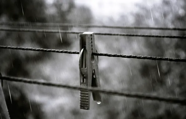 Осень, брызги, дождь, капля, Прищепка, верёвки