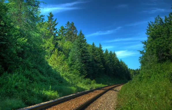 Картинка деревья, природа, пути, фото, транспорт, рельсы, железная дорога, поезда