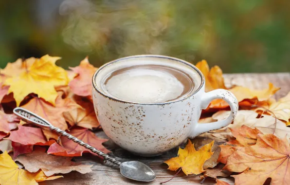 Картинка осень, листья, wood, autumn, leaves, coffee cup, чашка кофе