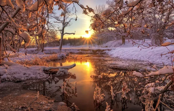Картинка зима, лес, снег, природа, река, рассвет