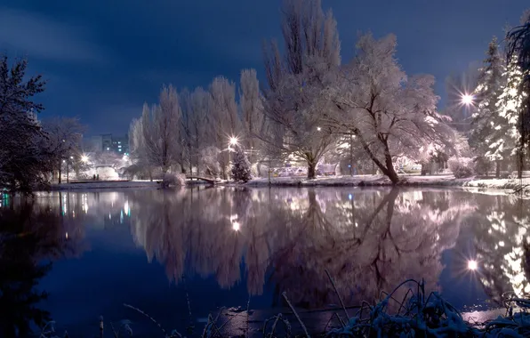 Картинка зима, небо, снег, деревья, пруд, спокойствие, photographer, Сергей Денисюк