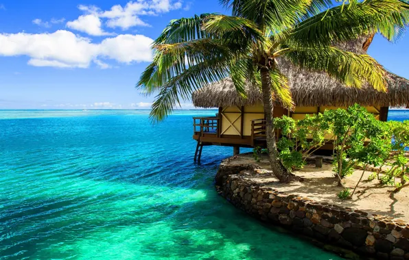 Тропики, пальма, океан, экзотика, beach, бунгало, bungalow resort