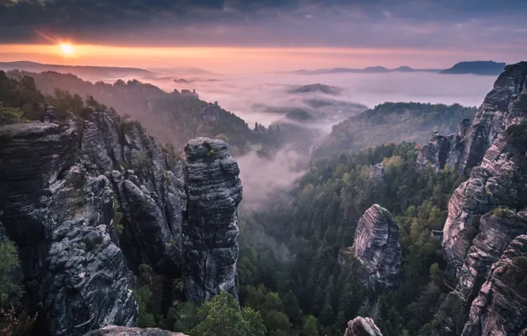 Картинка лес, горы, туман, восход, скалы, утро