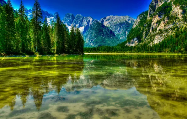 Картинка Dolomites, Италия, горы, Доломиты, Доломитовые Альпы, деревья, Озеро Дюрензее, Dürrensee