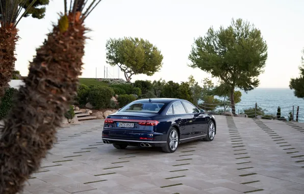 Картинка синий, Audi, сзади, седан, Audi A8, Audi S8, 2020, 2019