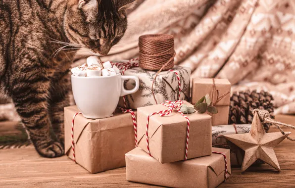 Кошка, кот, взгляд, поза, Рождество, чашка, подарки, Новый год