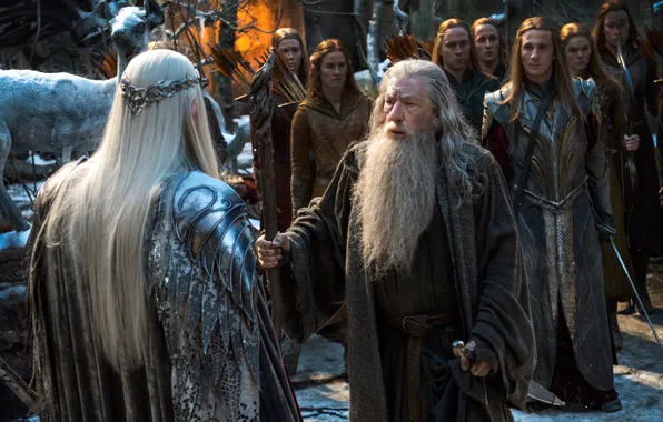 Картинка Gandalf, Ian McKellen, The Hobbit:The Battle of the Five Armies, Хоббит:Битва пяти воинств