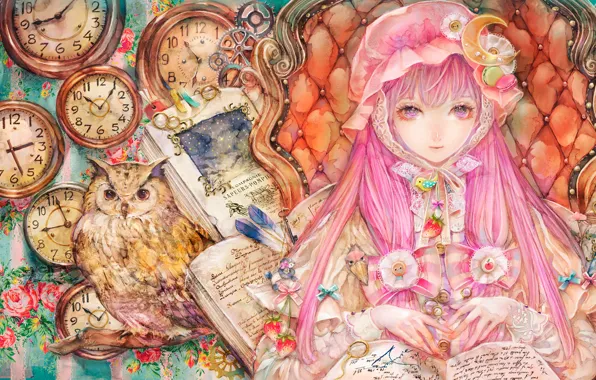 Часы, книги, шестеренки, бантики, чепчик, филин, оборки, розовые волосы
