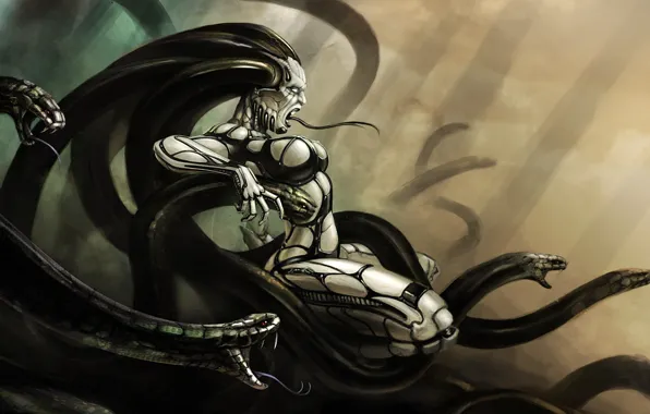 Змеи, языки, Medusa