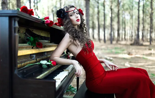 Картинка девушка, розы, пианино, piano