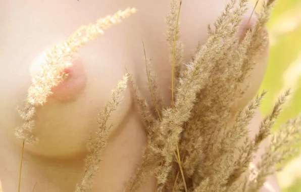 Девушка, модель, sexy, woman
