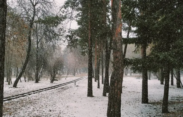 Лес, снег, вечер, железная дорога, ноябрь