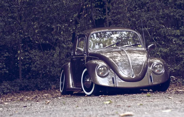 Картинка осень, природа, ретро, Volkswagen, Beetle