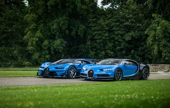 Газон, Bugatti, Gran Turismo, Chiron, Vision