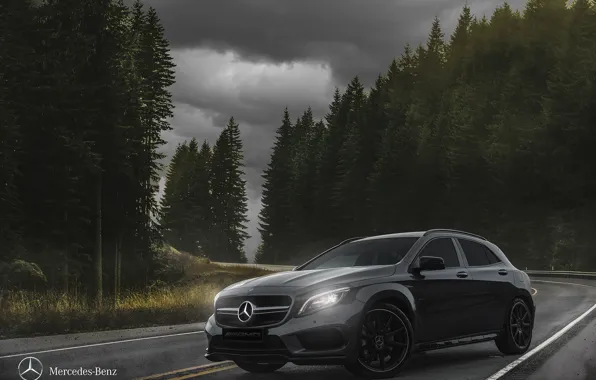 Car, mercedes, forest, mercedes-benz, road, sky, jungle, benz