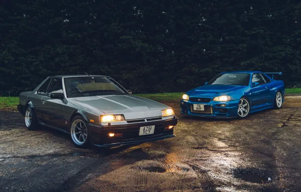 GTR, Nissan, Coupe, Skyline, R34, R30, GTR R34, R31