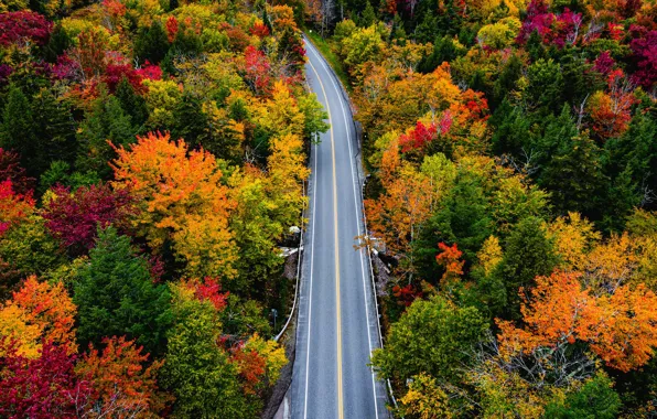 Дорога, осень, лес, деревья, Vermont, Вермонт, Smugglers Notch
