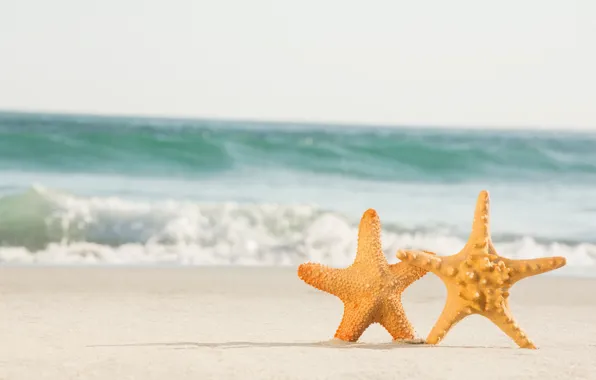 Картинка песок, море, пляж, звезда, пара, summer, love, beach