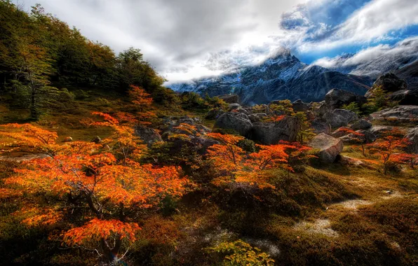 Картинка осень, облака, деревья, горы, камни., nature, Чили, Chile
