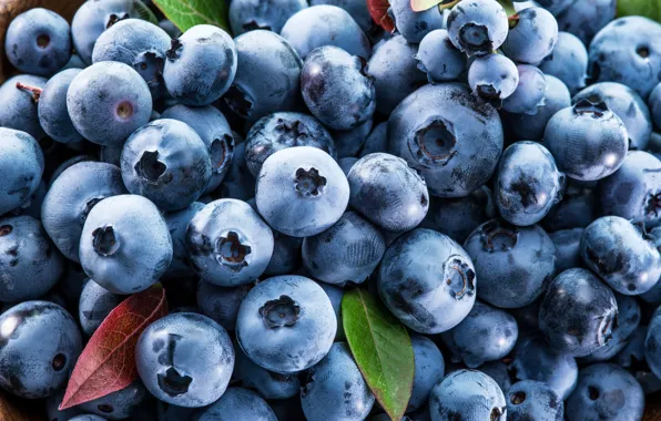 Ягоды, черника, fresh, blueberry, голубика, berries