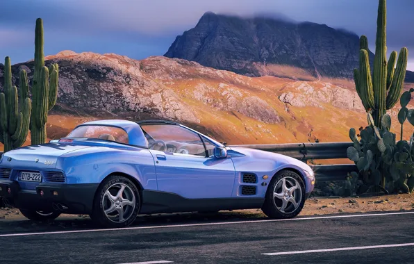 Дорога, горы, кактусы, автомобиль, De Tomaso Bigua